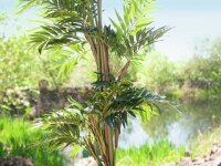 Parlor palm, artificial plant, 150cm