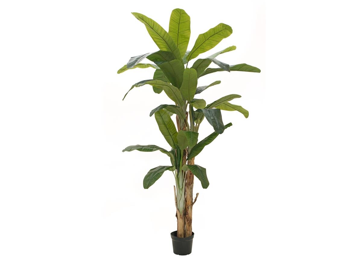 Banana tree, artificial plant, 240cm buy cheap Show and Stage Berlin