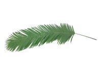 Coconut king palm branch, artificial, 180cm