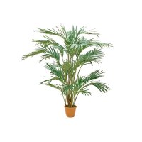 Canary date palm, artificial plant, 240cm