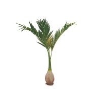 Phoenix palm, artificial plant, 240cm