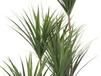 Yucca Palme, Kunstpflanze, 130cm