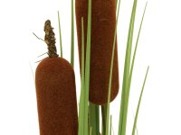 Bulrush, alrtificial plant, 150cm