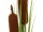 Bulrush, alrtificial plant, 150cm