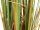 Bulrush, alrtificial plant, 150cm