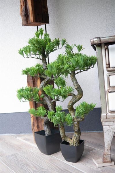 Bonsai Pinie, Kunstpflanze, 95cm gnstig online kaufen @ Show and Stage  Berli
