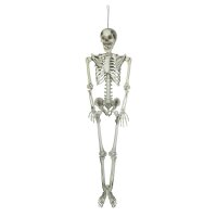 Halloween Skelett, 150 cm