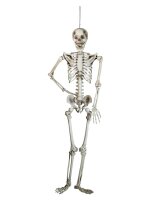 Halloween Skelett, 150 cm