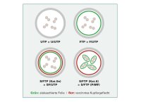 Value CAT6A-Netzwerkkabel, S/FTP, 10m, blau
