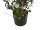 Europalms Olive tree, artificial plant, 104 cm