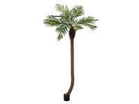 Europalms Phoenix palm tree luxor curved, artificial...