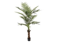 Europalms Kentia palm tree, artificial plant, 240cm