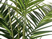 Europalms Kentia palm tree, artificial plant, 240cm