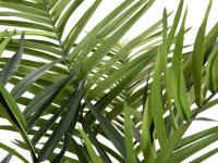 Europalms Kentia palm tree, artificial plant, 240cm