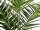 Europalms Kentia palm tree, artificial plant, 240cm
