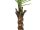Europalms Kentia palm tree, artificial plant, 240cm