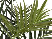 Europalms Kentia palm tree, artificial plant, 300cm