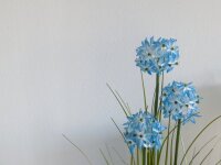 Europalms Allium grass, artificial plant, blue, 120 cm