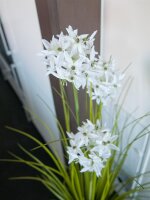 Europalms Allium grass, artificial plant, white, 120 cm