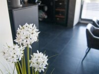 Europalms Allium grass, artificial plant, white, 120 cm