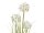 Europalms Allium grass, artificial plant, white, 120 cm