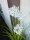 Europalms Allium grass, artificial plant, white, 120 cm