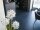 Europalms Allium grass, artificial plant, white, 120 cm