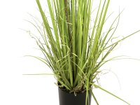 Europalms Evergreen shrub with grass, artificial plant, 182cm