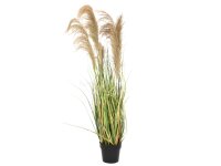 Chinese silvergrass, artificial, 140cm