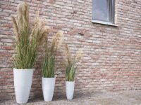 Chinese silvergrass, artificial, 140cm