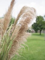 Chinese silvergrass, artificial, 140cm