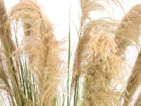 Chinese silvergrass, artificial, 140cm
