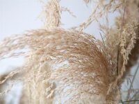 Chinese silvergrass, artificial, 140cm