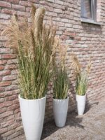 Chinese silvergrass, artificial, 140cm