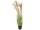 Chinese silvergrass, artificial, 140cm