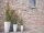 Chinese silvergrass, artificial, 140cm
