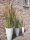 Chinese silvergrass, artificial, 140cm