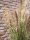 Chinese silvergrass, artificial, 140cm