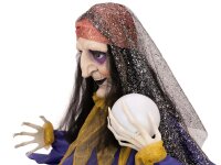 Halloween Figure Fortune Teller, animated 50cm