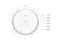 DPA CORE 4466-OC-R-B00 Headset Zwei-Ohr, schwarz