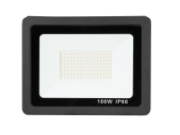 Eurolite LED IP FL-100 SMD CW