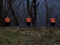 Halloween Pumpkins with Stake, Set of 3, 39cm