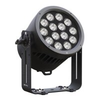 Infinity Raccoon P14/4, LED-Outdoor-Par-Scheinwerfer, 14x...