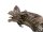 Halloween Flying Dragon, animated, brown, 120cm