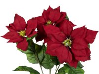 Poinsettia bush, red, 50cm