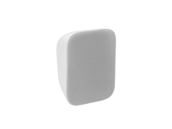 Omnitronic PPS-5T Wall Speaker