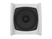 Intusonic 4FW50T 4" Full-range Speaker white