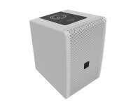 Intusonic 6FP100T 6.5" 2-Way Full-range Speaker white