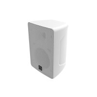 Intusonic 4FP40R 4" 2-Way Outdoor Speaker white