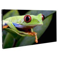 ADJ WMS2, LED-Videoscreen-Panel, indoor, 1x0,5m, 2,6mm...